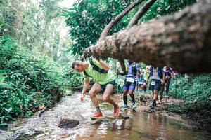 BIB: 
                            <button type="button" onclick="openModal(25375157)" class="btn btn-primary btn-sm float-right btn-popup" data-toggle="modal" data-target=".modal-high-quality">
                        <i class="fas fa-shopping-cart"></i> Add to Cart
                    </button>
                                            <button type="button" onclick="isThisMe(25375157, true)" class="btn btn-success btn-sm float-right btn-popup btn-isme hidden" data-toggle="tooltip" data-placement="bottom" title="นี่คือรูปของคุณใช่ไหม คลิกที่นี่เพื่อเอาเข้าอัลบั้ม">
                        <i class="fas fa-plus"></i> Add to album
                    </button>
                    <button type="button" onclick="isThisMe(25375157, false)" class="btn btn-warning btn-sm float-right btn-popup btn-isnotme hidden">
                        <i class="fas fa-ban"></i> Remove from album
                    </button>